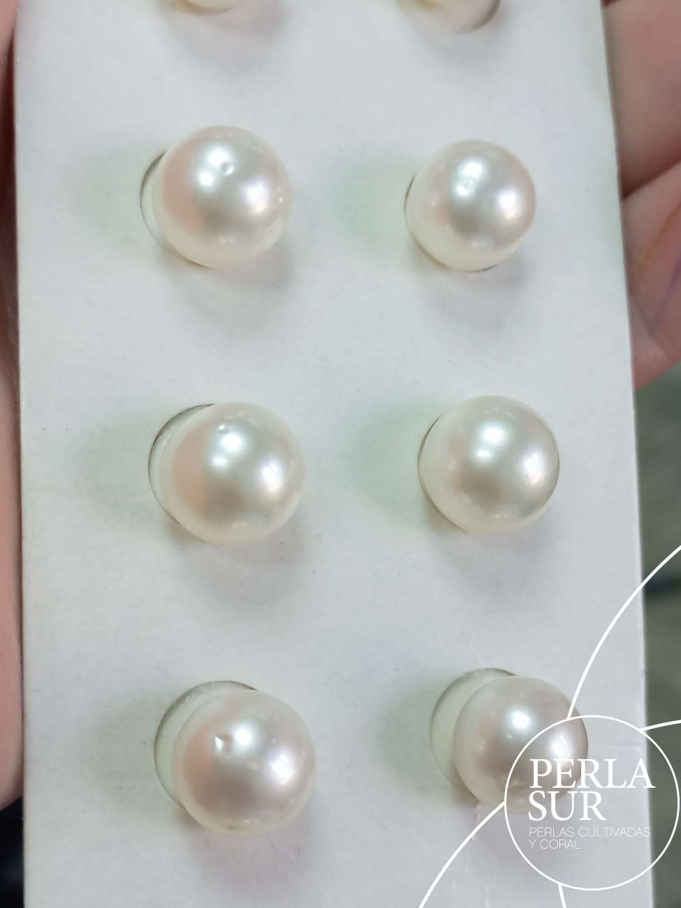 Pareja Perla Australiana Redonda 10-10'5mm C