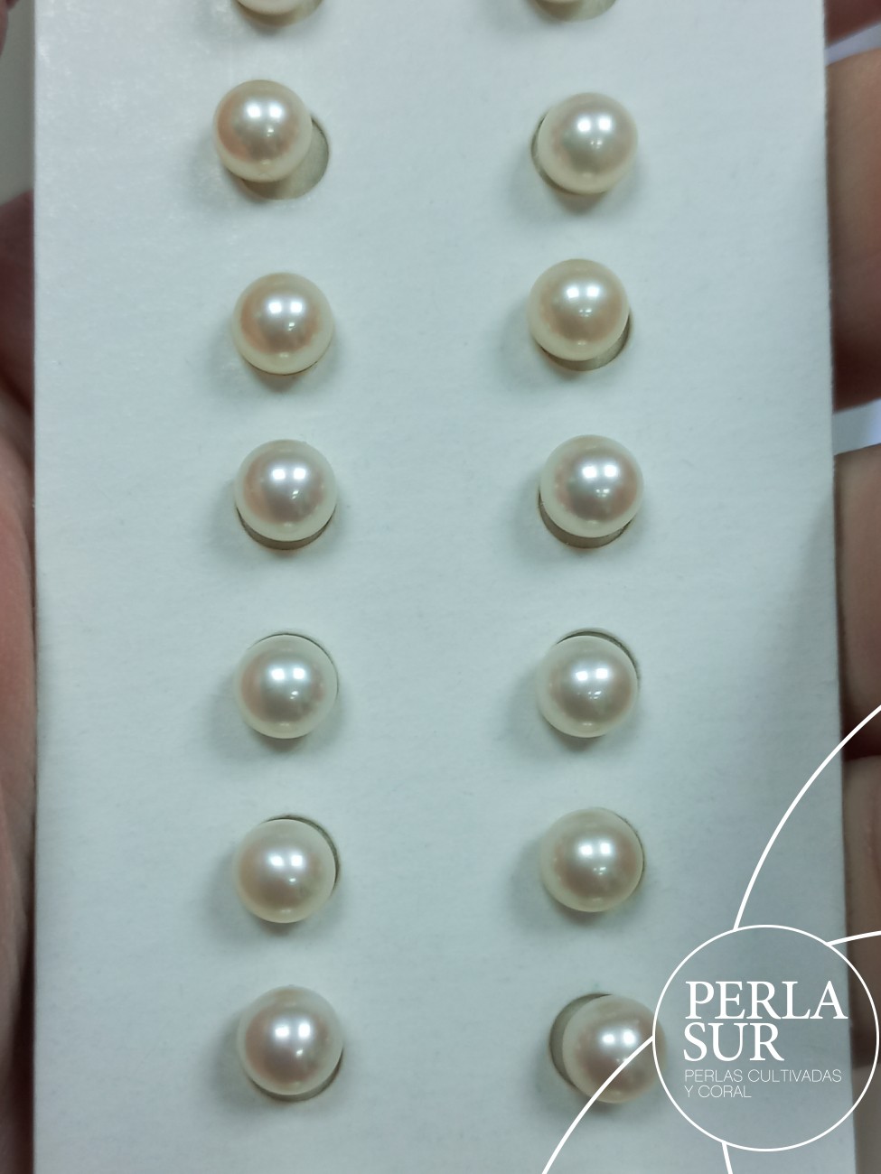 Pareja perla esférica 1/2T 5'5-6mm blanca