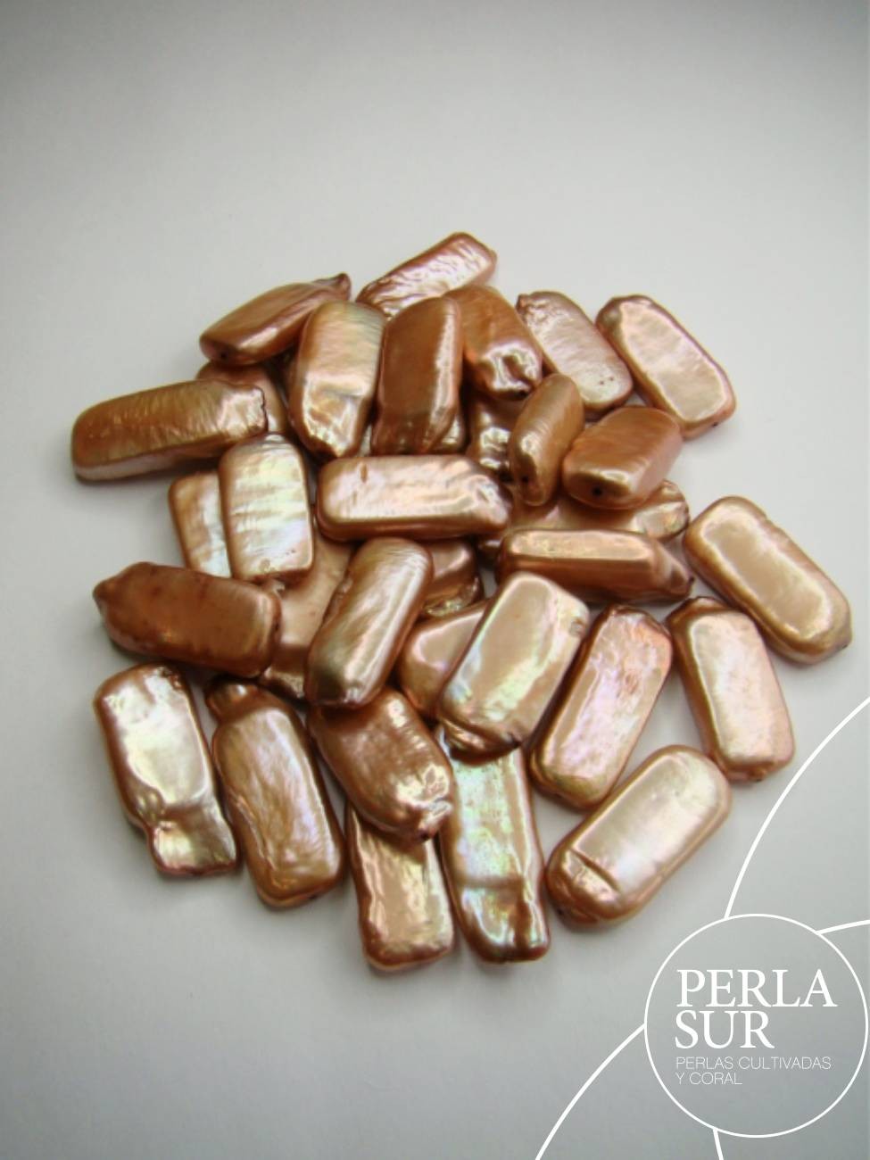 Lote Perla Coin PASADA 24x11mm Bronce