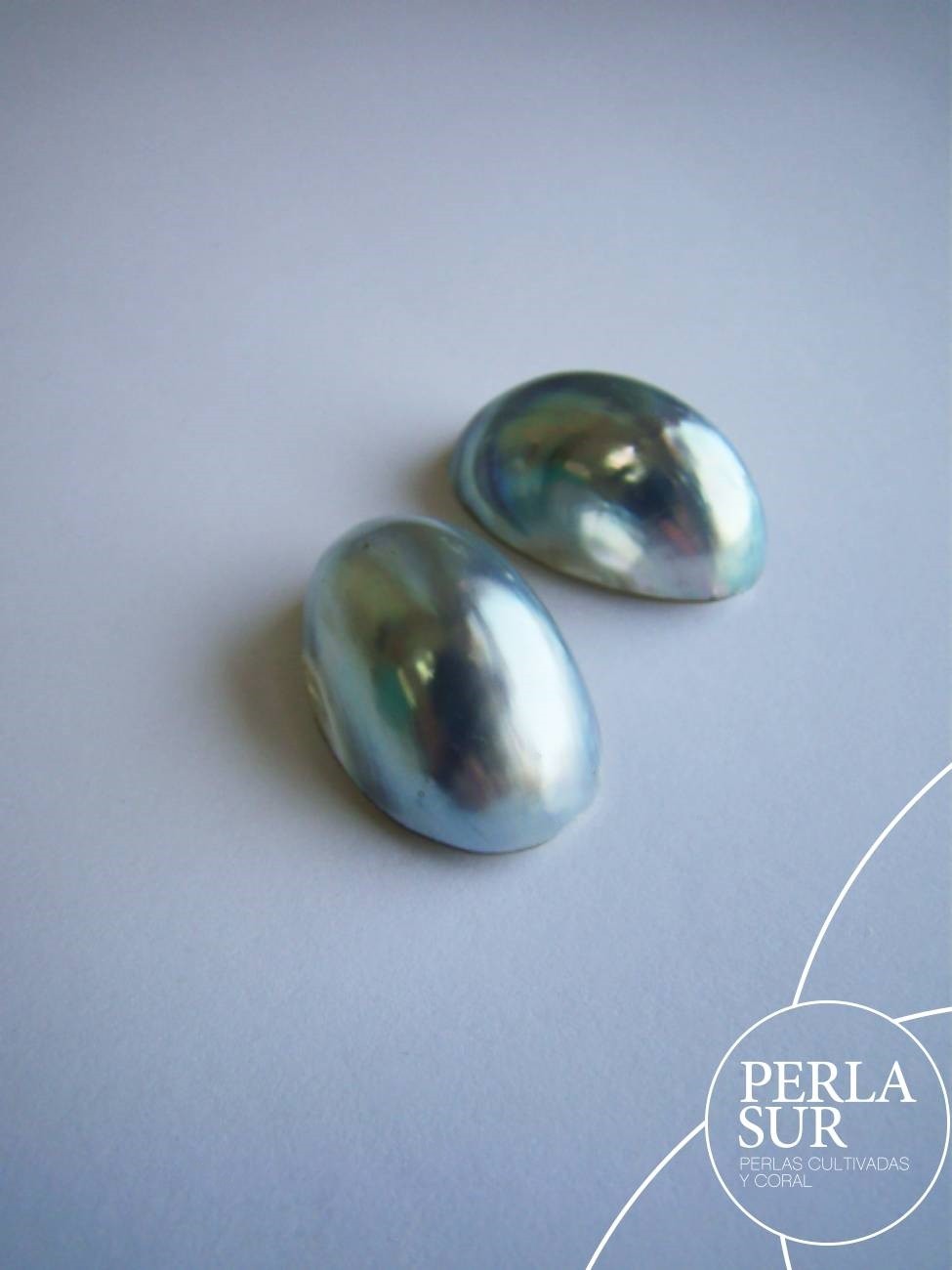 Perla Nautilus Filipina