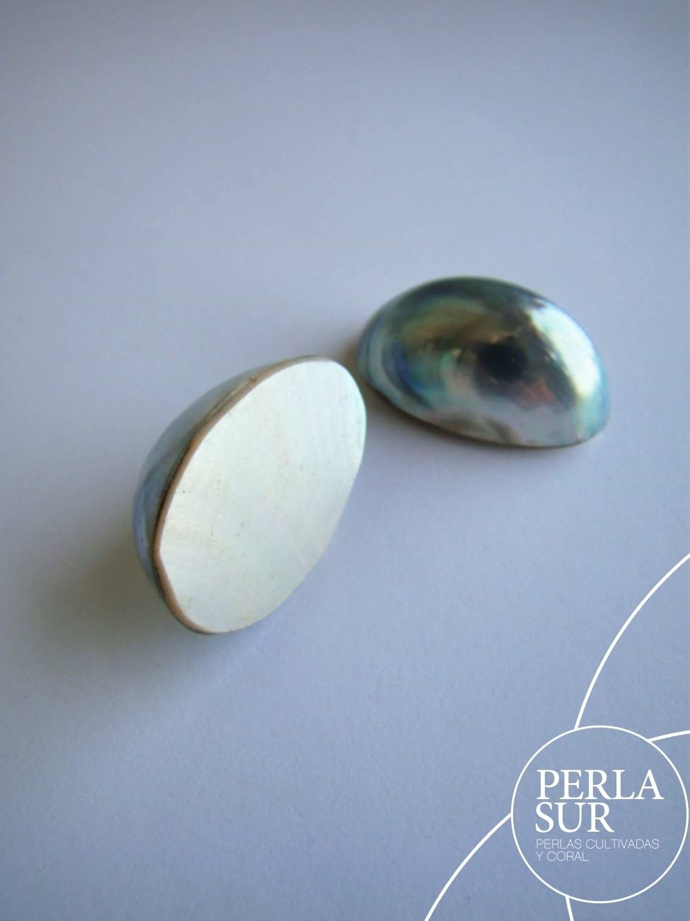 Perla Nautilus Filipina