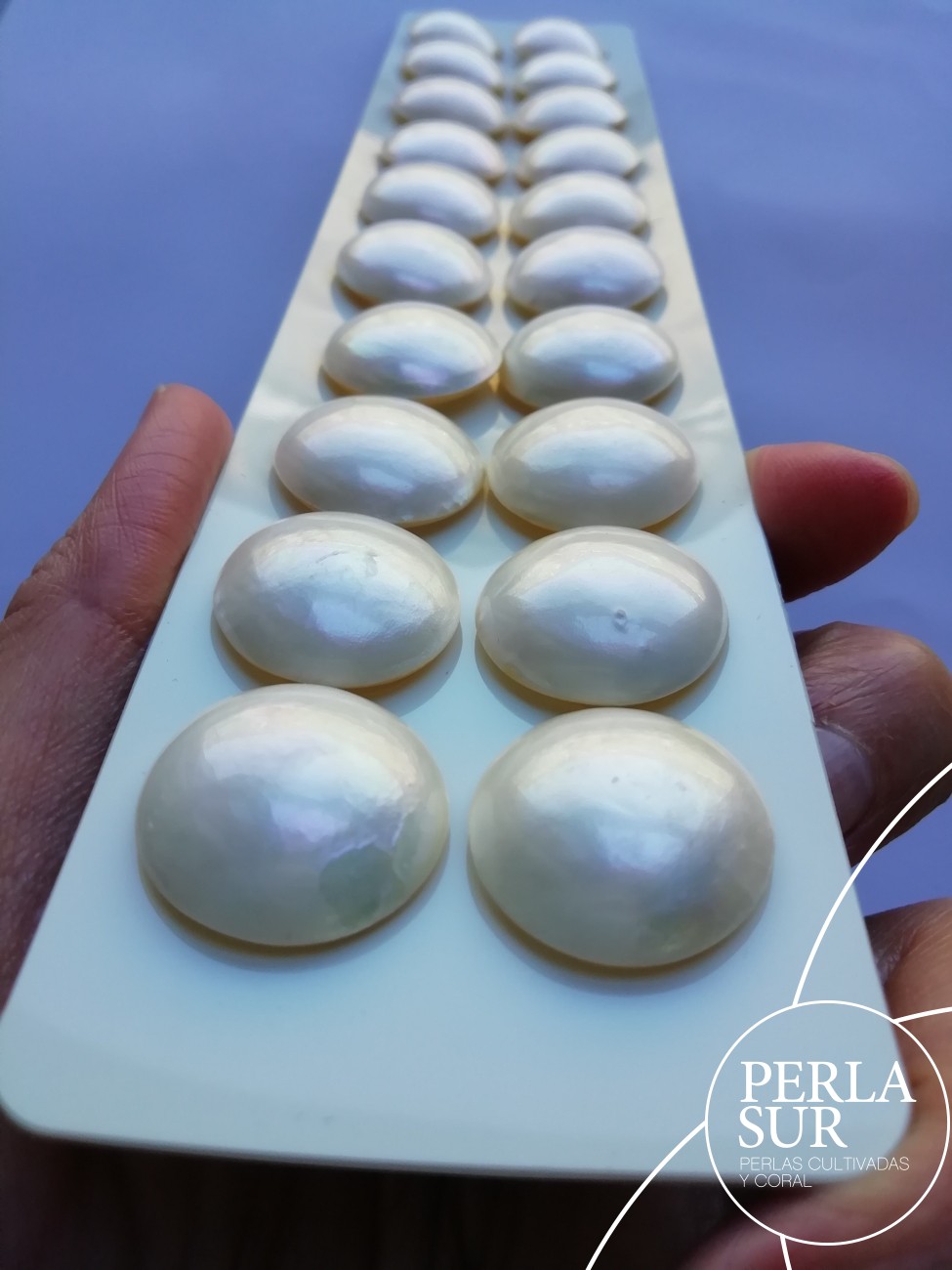 Mabe Especial 21mm PLANA