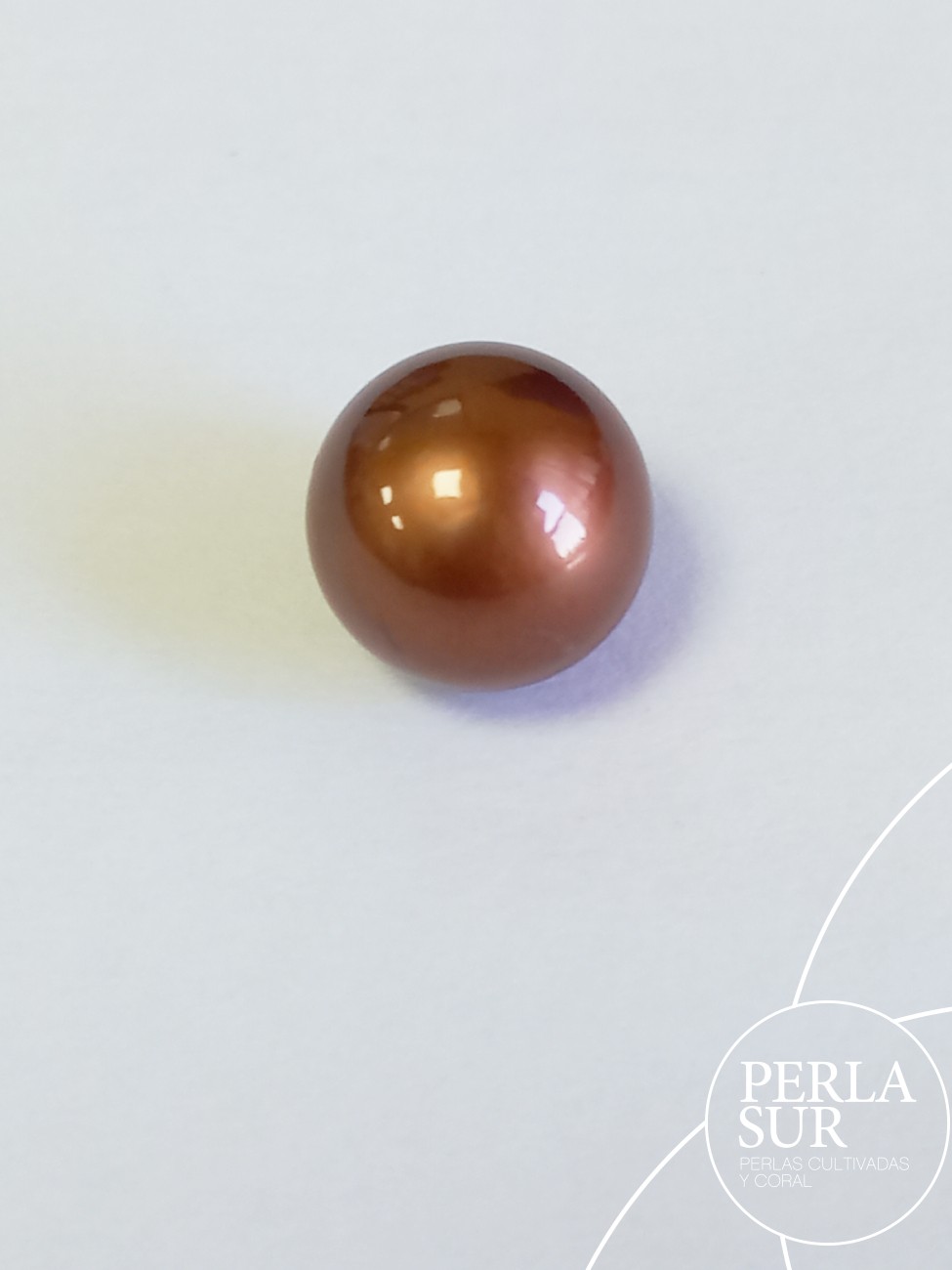 Perla Aus. 12'35mm Redonda Chocolate
