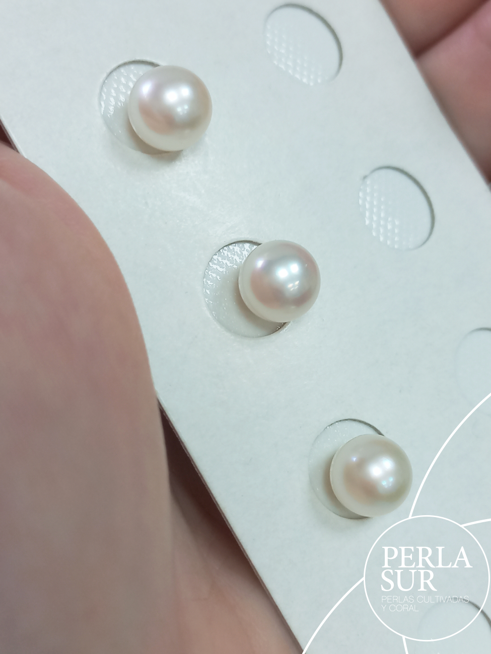 Perla Australiana Redonda 8mm