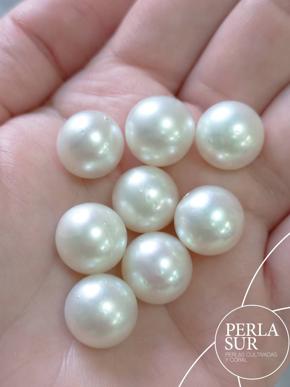 Perla Australiana suelta 12-13mm Redonda