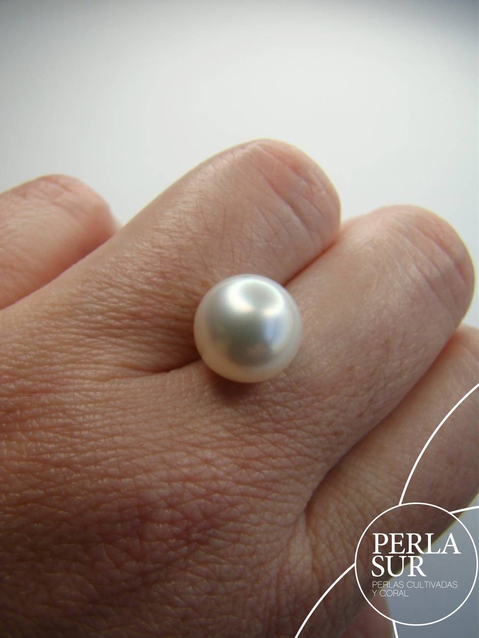 Perla Australiana Pasada suelta 10mm Redonda