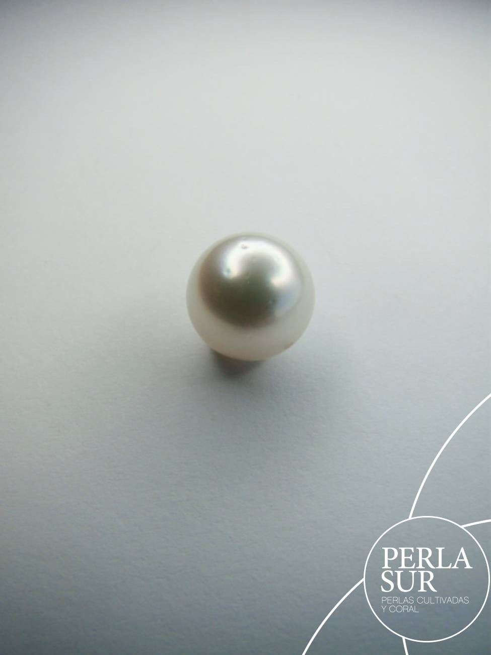 Perla Australiana Pasada suelta 10mm Redonda