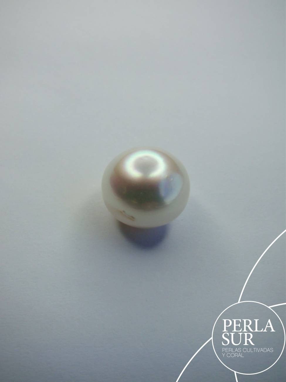 Perla Australiana suelta 14mm Botón