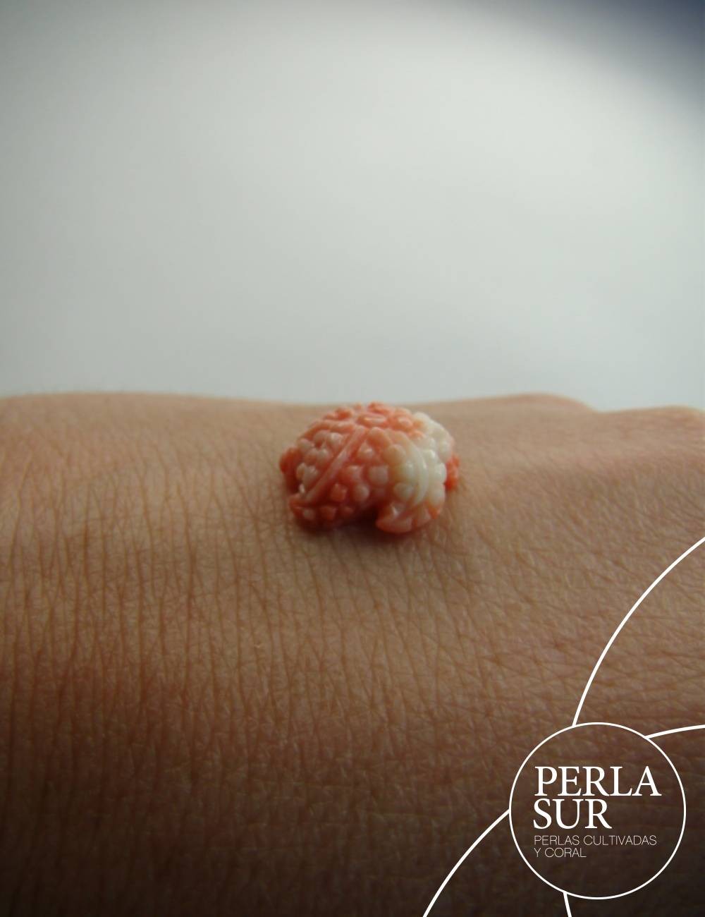 Estrella de mar Coral Japonés