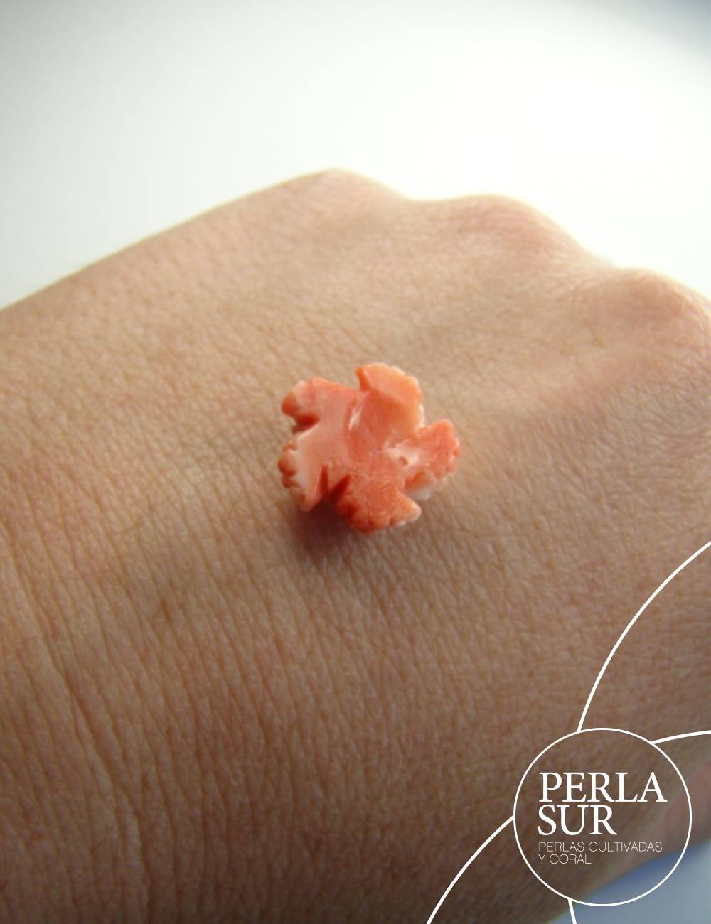Estrella de mar Coral Japonés