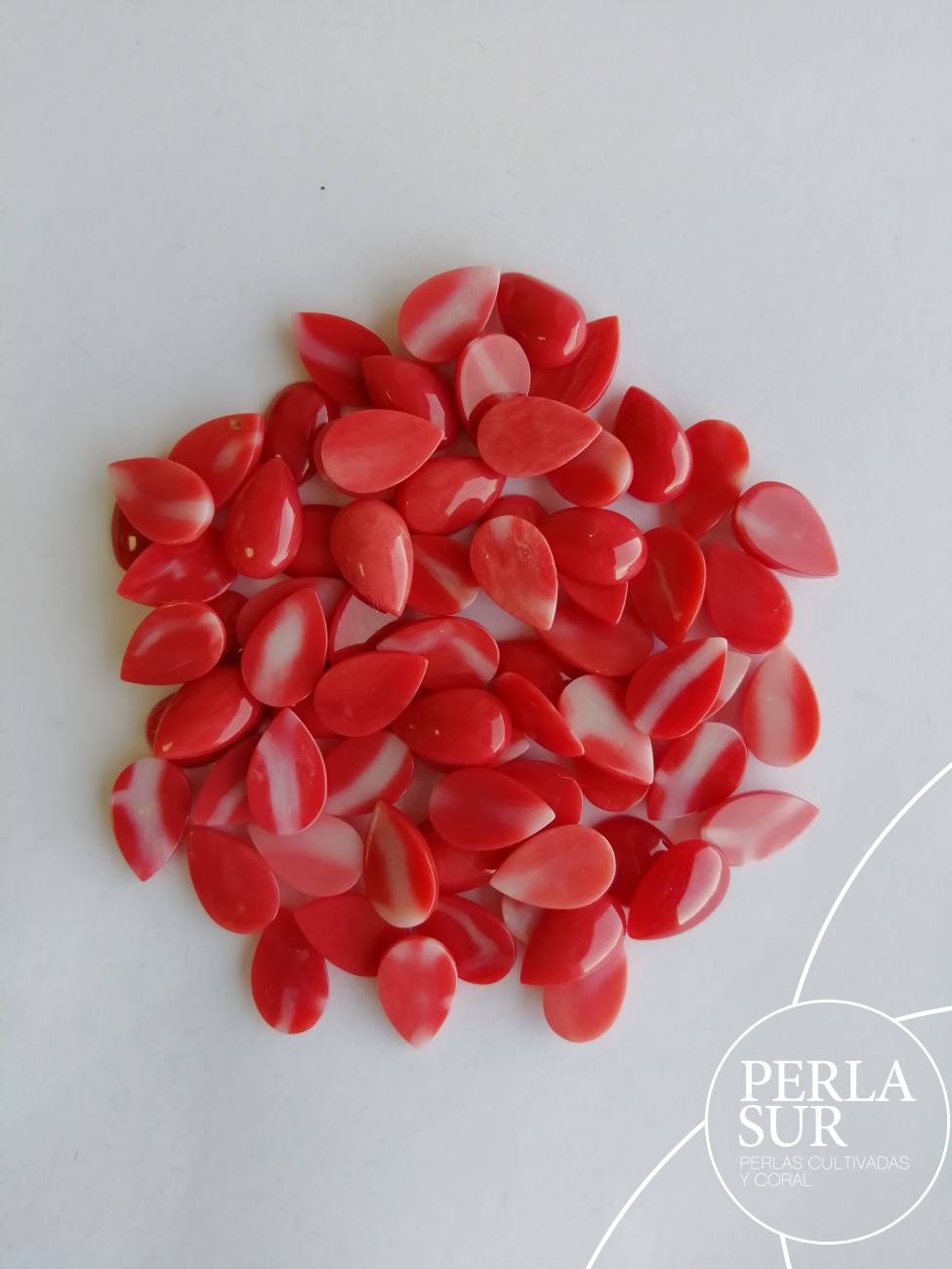 Cabujón 6x10mm lágrima coral japonés
