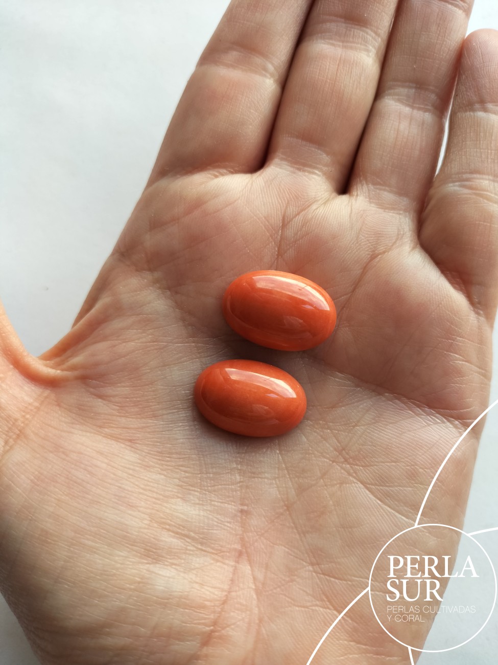 Cabujón 13x18mm oval coral japonés