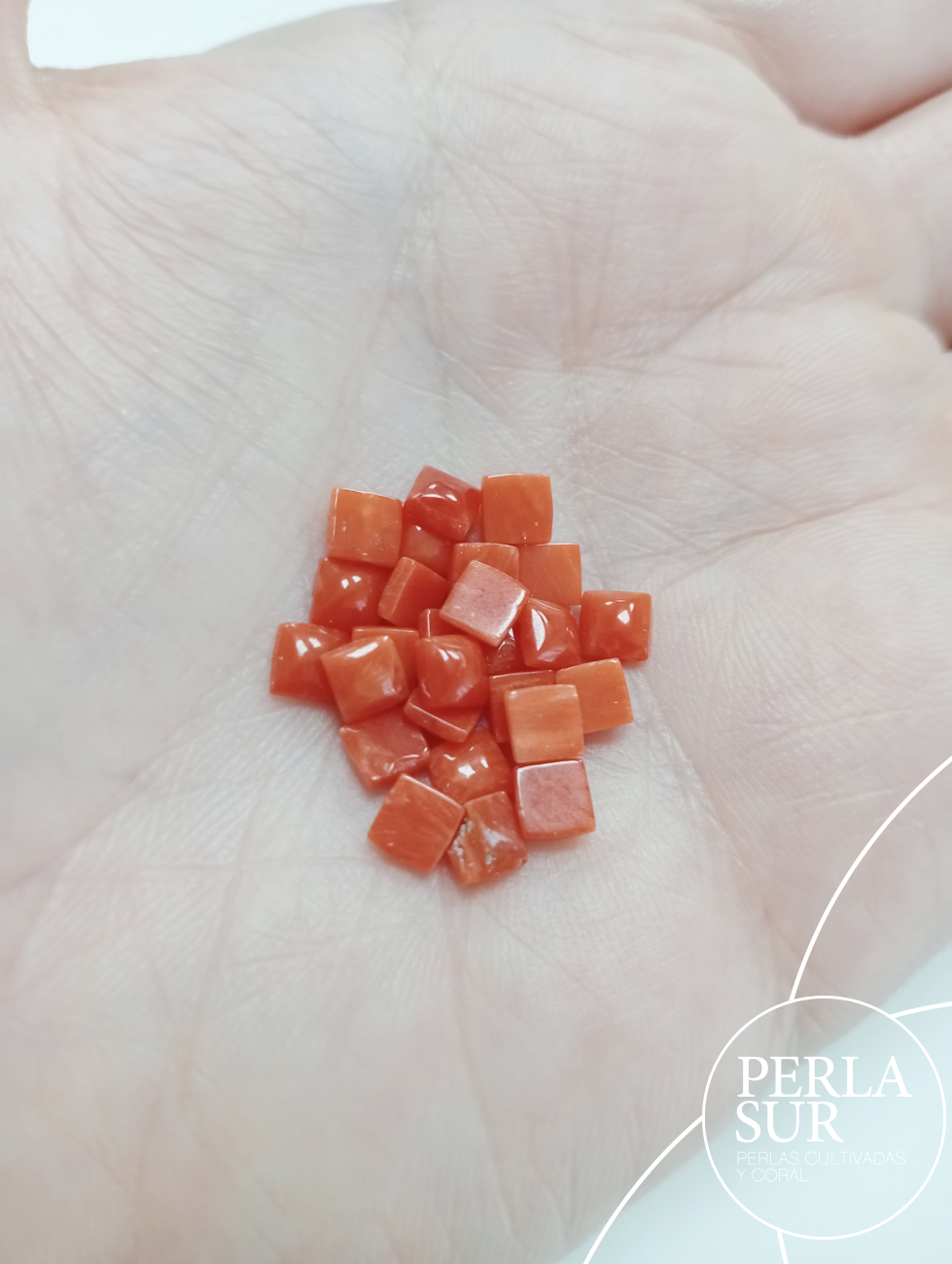 Cabujón square 4mm coral mediterráneo