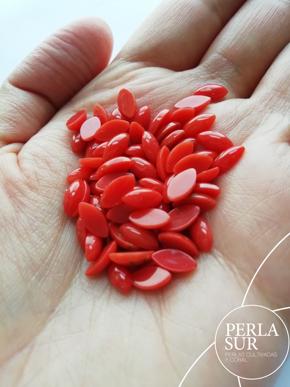 Cabujón marquise 4x8mm coral mediterráneo