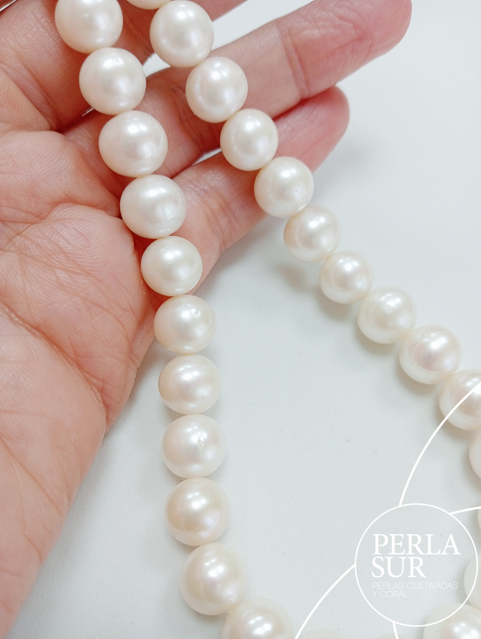 Hilo perla redonda 10-10'5mm blanca