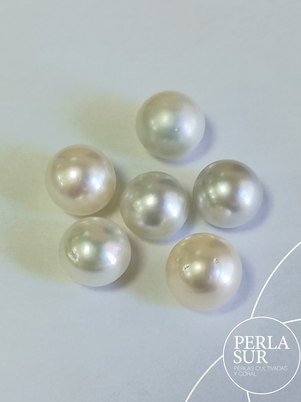 Perla Australiana Suelta 12-12'5mm Botón