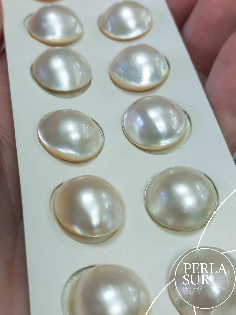 Perla mabe 15'5-16mm "alas" Barrocas