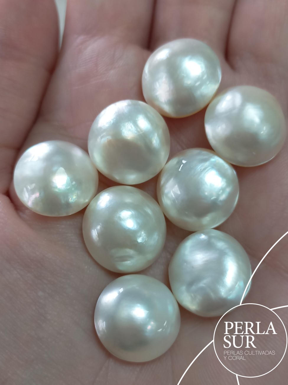 Perla mabe 15'5-16mm "irregulares"