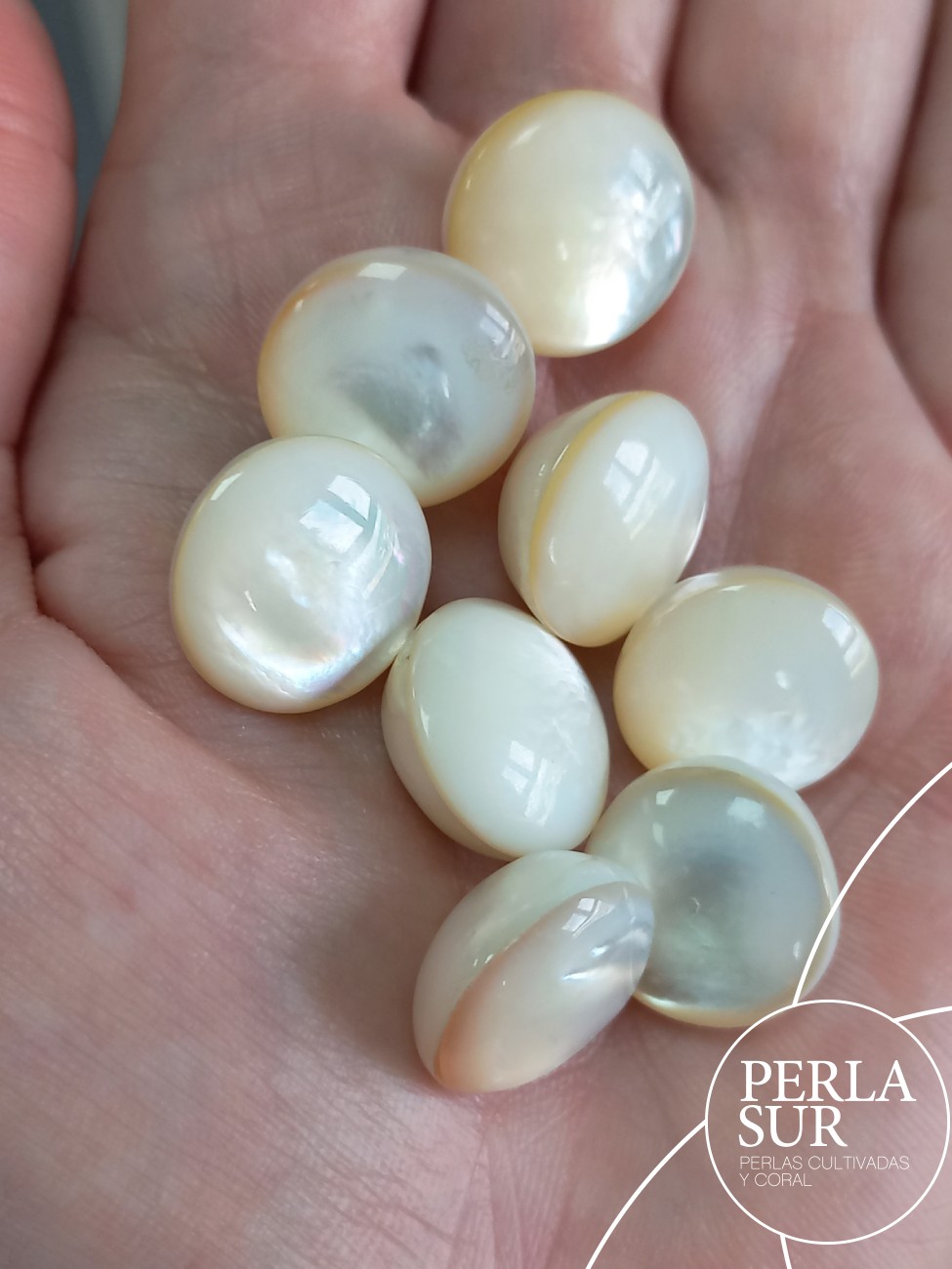Perla mabe 15'5-16mm "irregulares"
