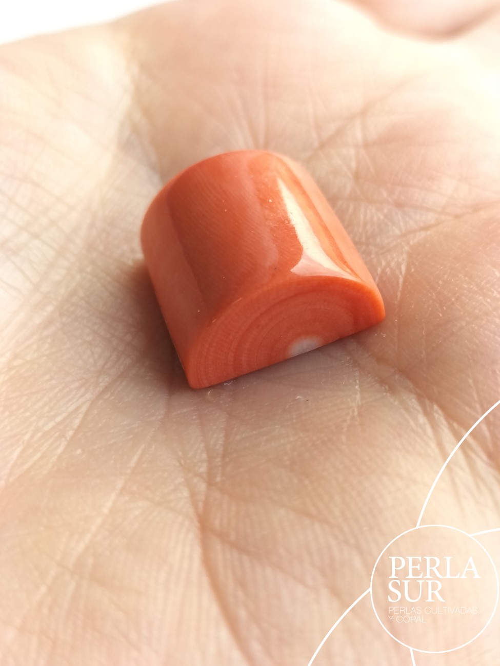 Cabujones 1/2 cilindro 14x15mm coral japonés