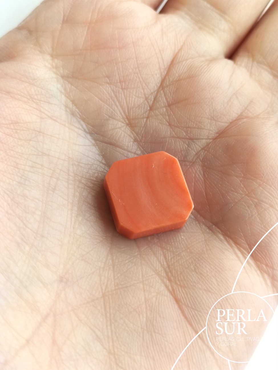 Par Piezas 14mm coral japonés