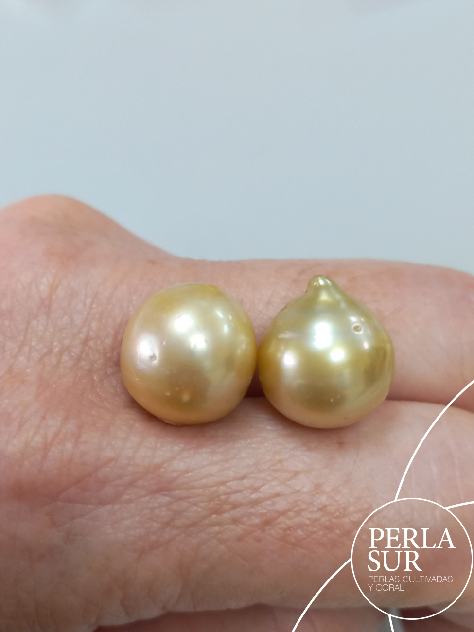 Perla Aust. Golden 13-13'5mm pasada