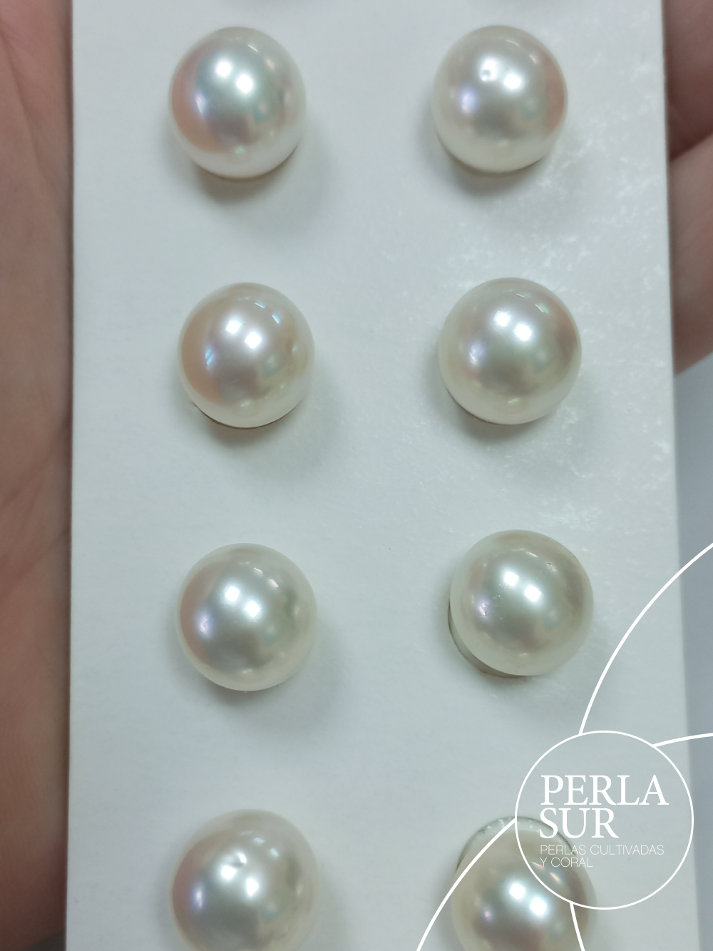 Pareja Perla 11x12mm Australiana Oval