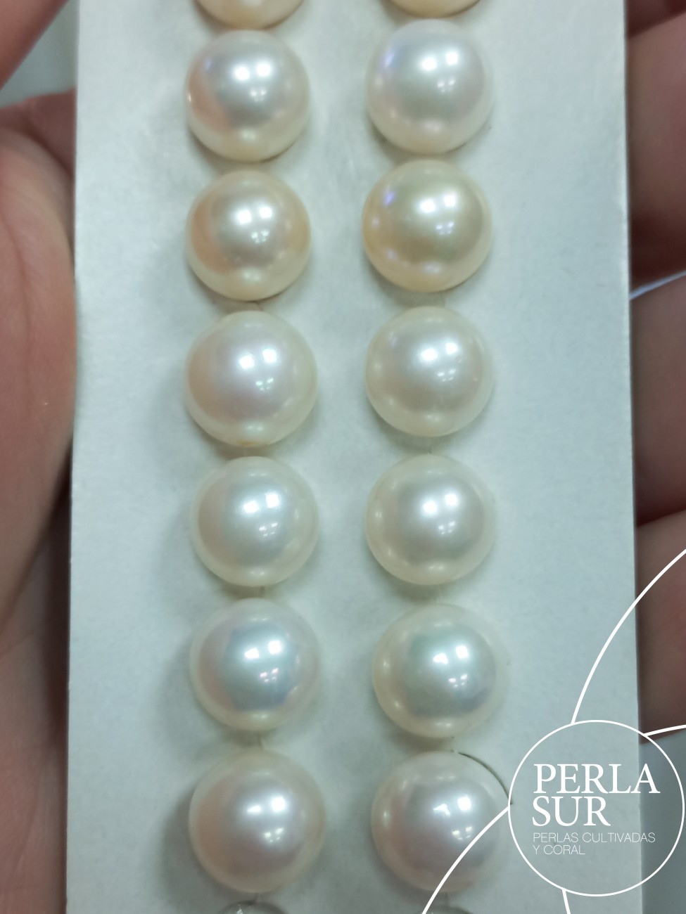 Pareja perla esférica 1/2t 10-10'5mm blanca C