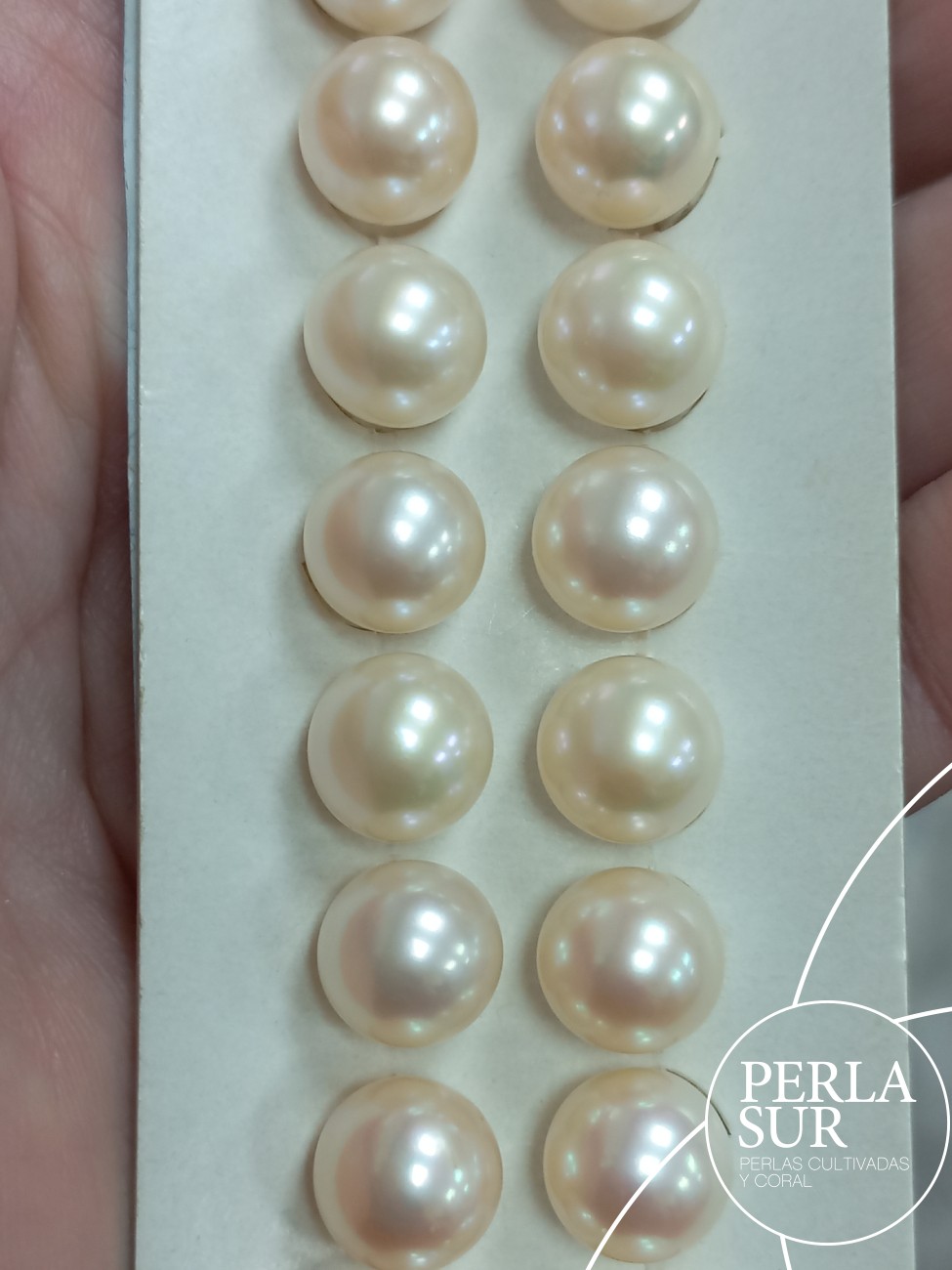 Pareja perla esférica 1/2t 10-10'5mm blanca B