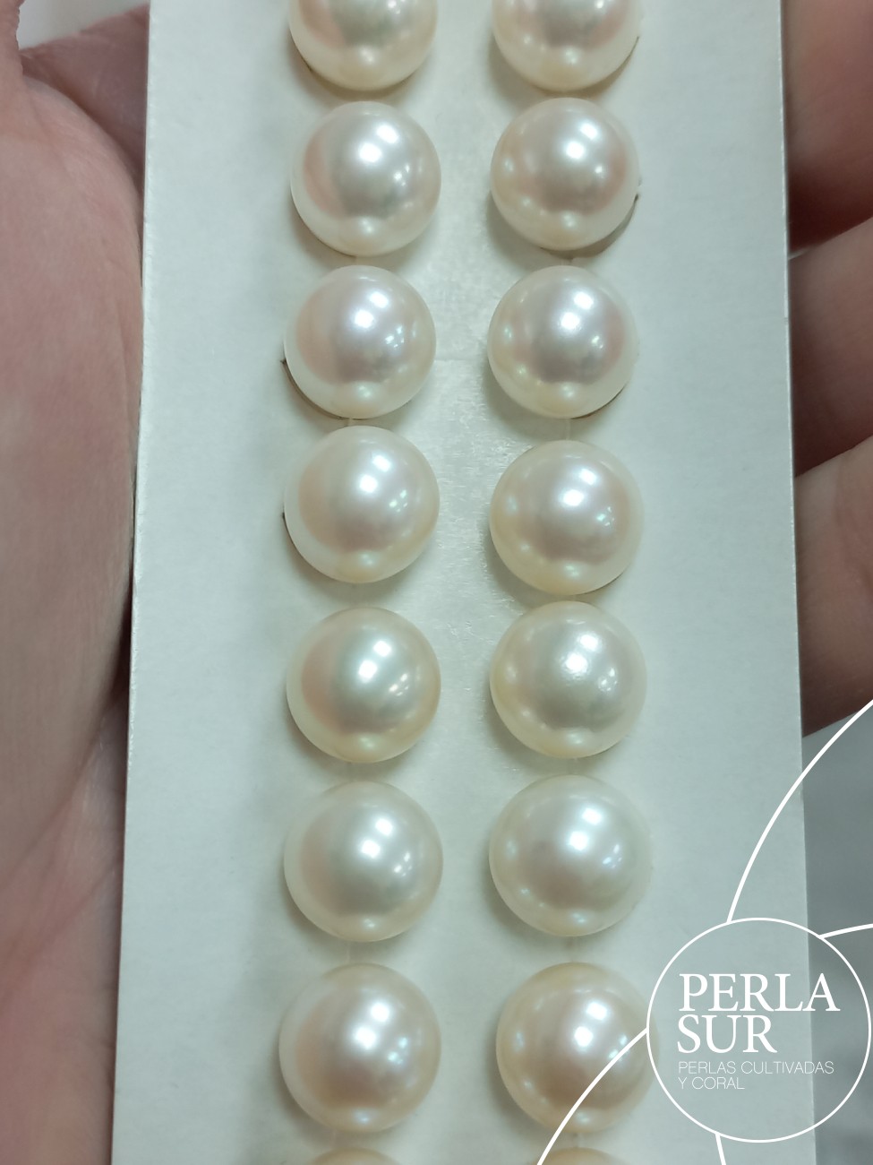 Pareja perla esférica 9'5mm 1/2t A blanca