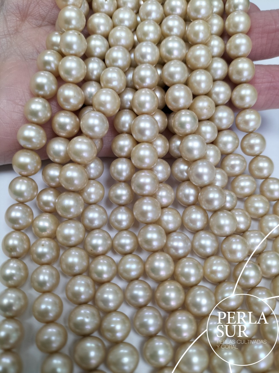 Hilo perla redonda 7-7'5mm champagne