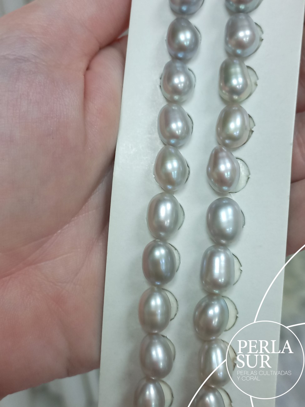 Pareja Perla 8x11mm Gris 1/2t Oval