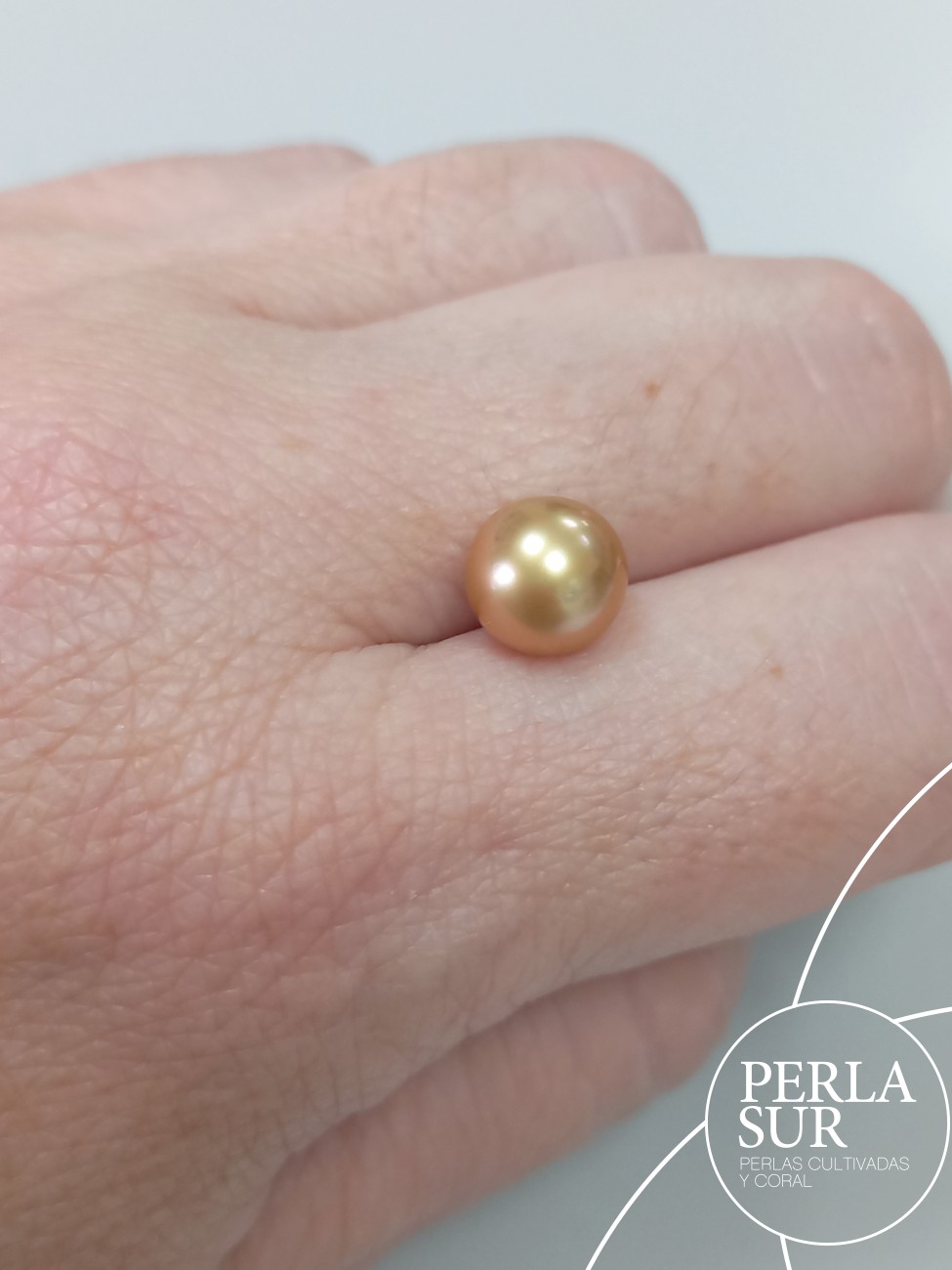 Perla Aus. 8'5-9mm nº2 Redonda Golden