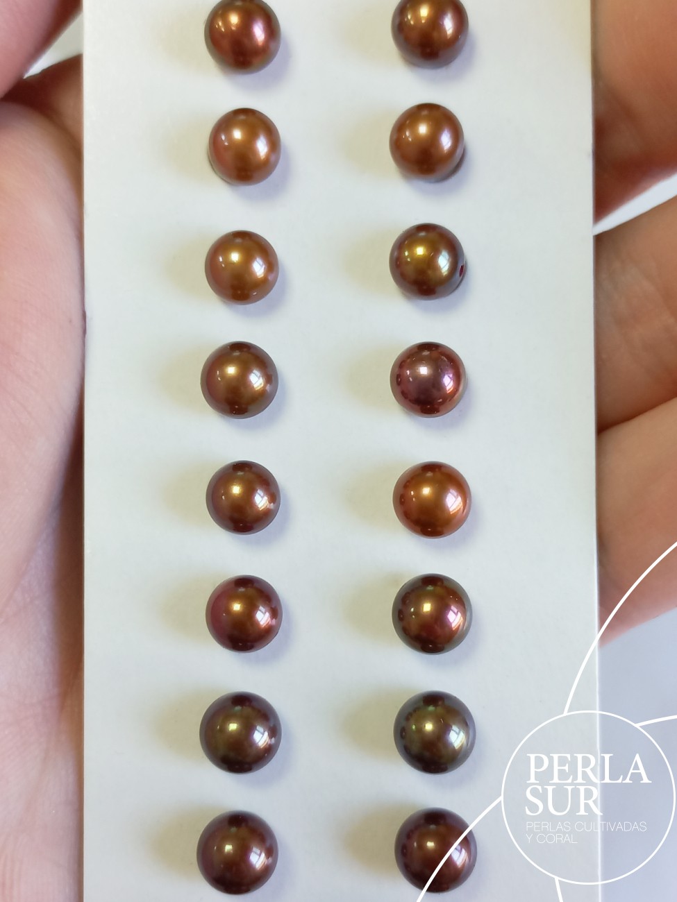 Pareja perla 1/2t 6-6'5mm Chocolate