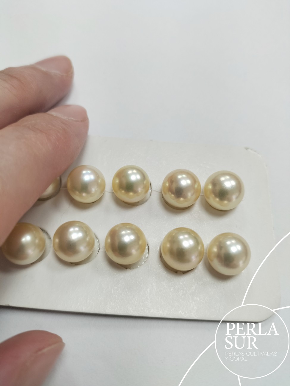 Pareja perla akoya 3/4 9-9'5mm golden
