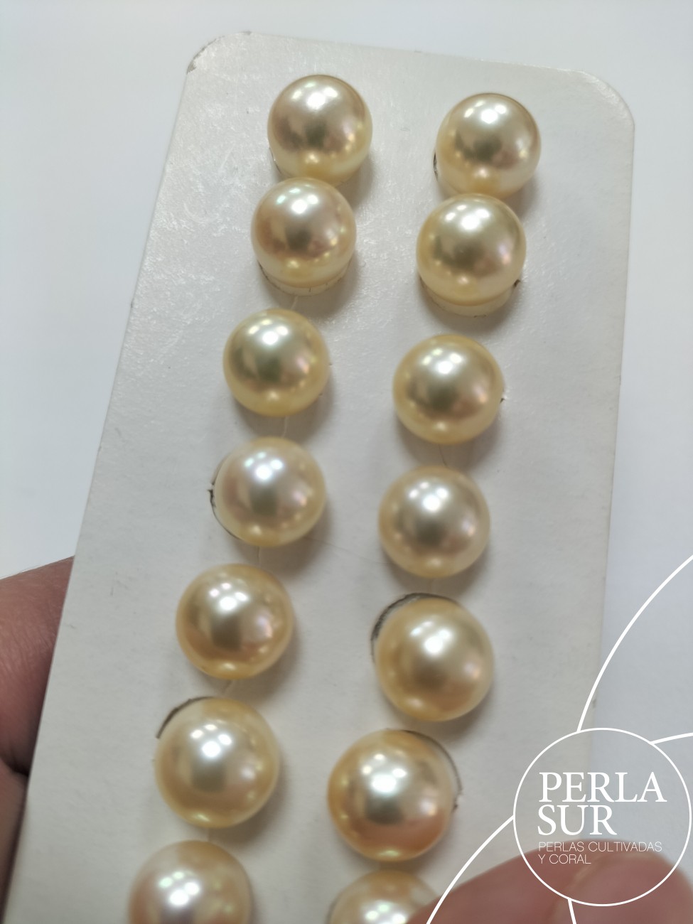 Pareja perla akoya 3/4 9-9'5mm golden
