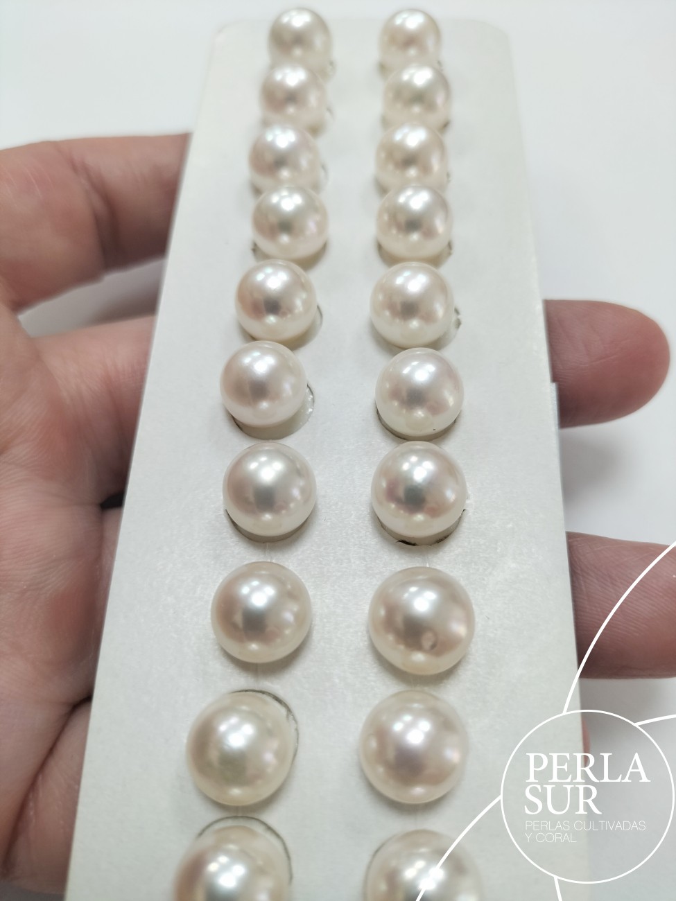 Pareja perla akoya 3/4 9-9'5mm blanca