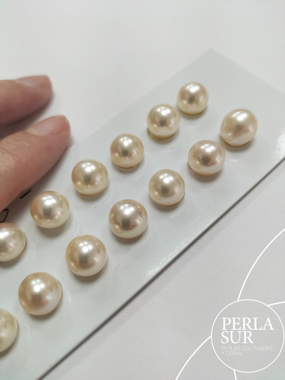 Pareja perla akoya 3/4 9-9'5mm champagne