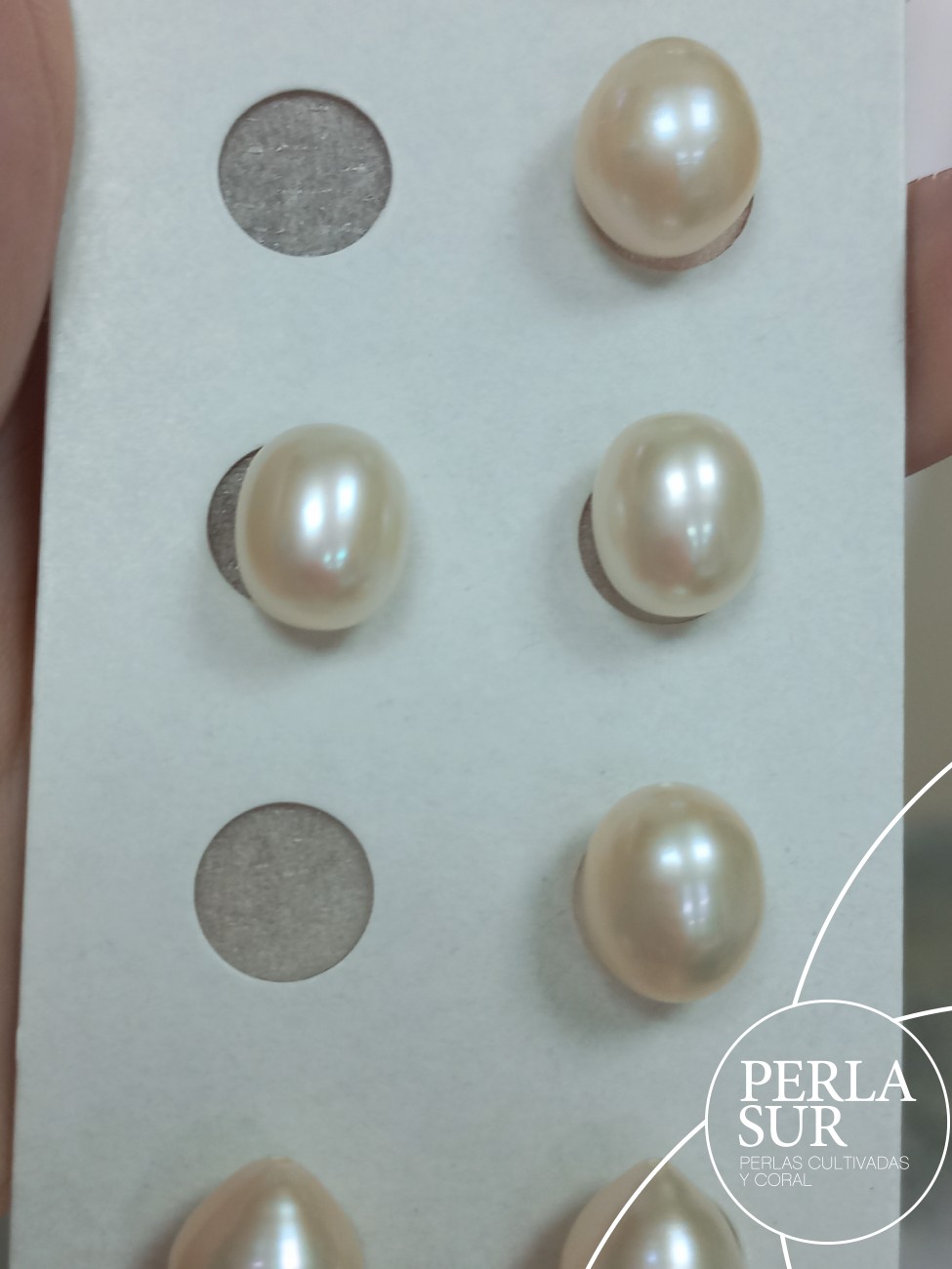 Trio Oval Crema 10-10'5mm 1/2 T. Perla C. Natural