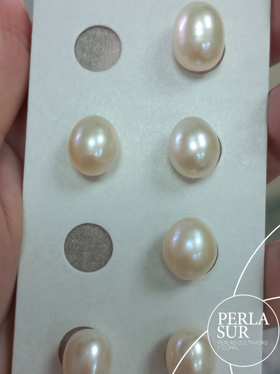 Trio Oval Crema 10-10'5mm 1/2 T. Perla C. Natural