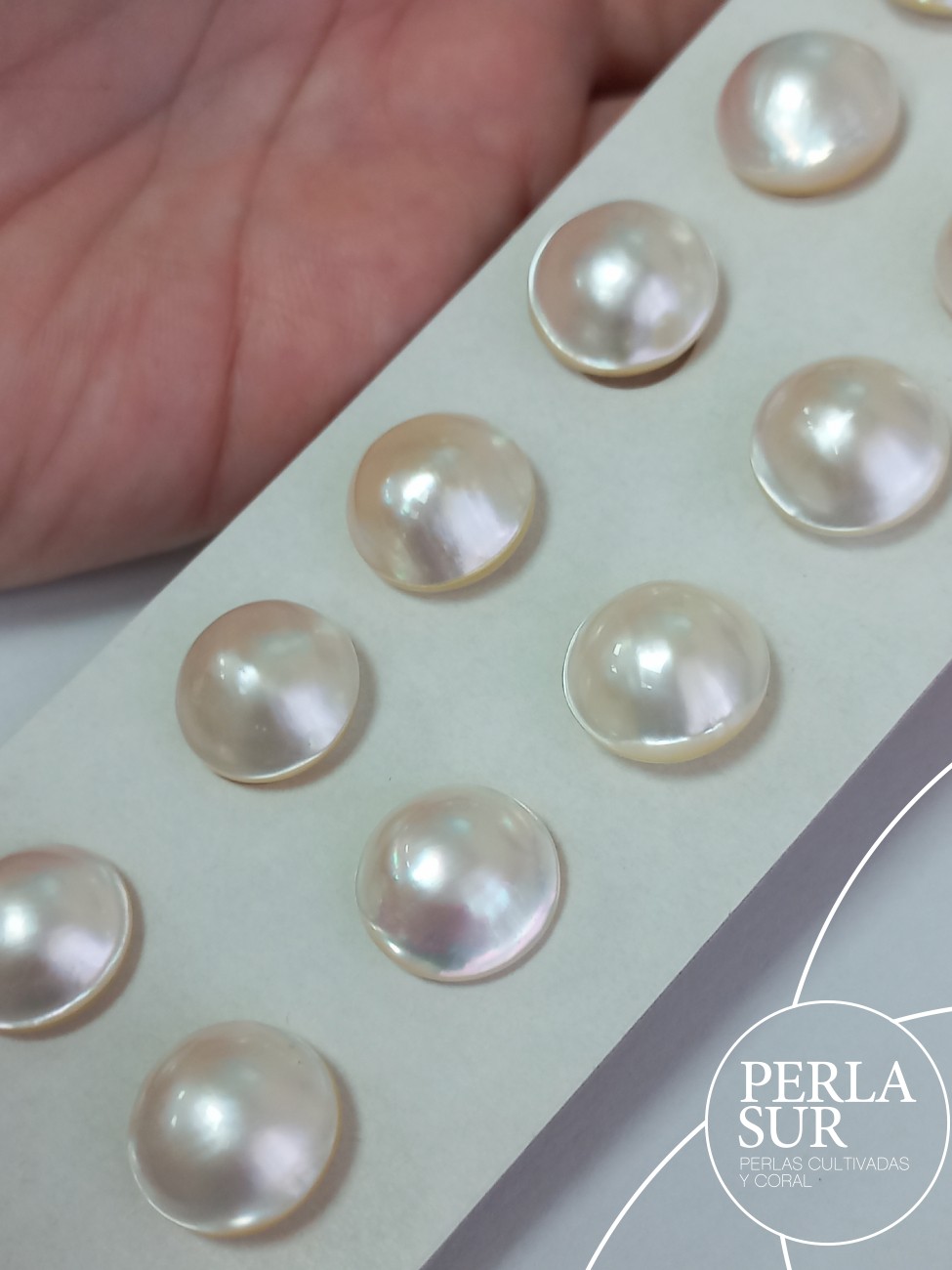 Perla Mabe 14-14'5mm "alas" Barrocas
