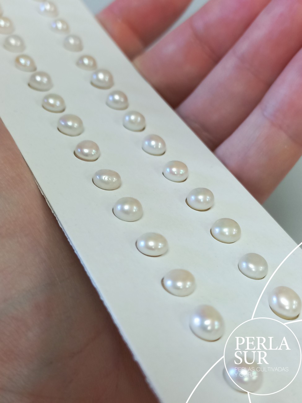 Pareja perla botón 1/2t 5-5'5mm blanca