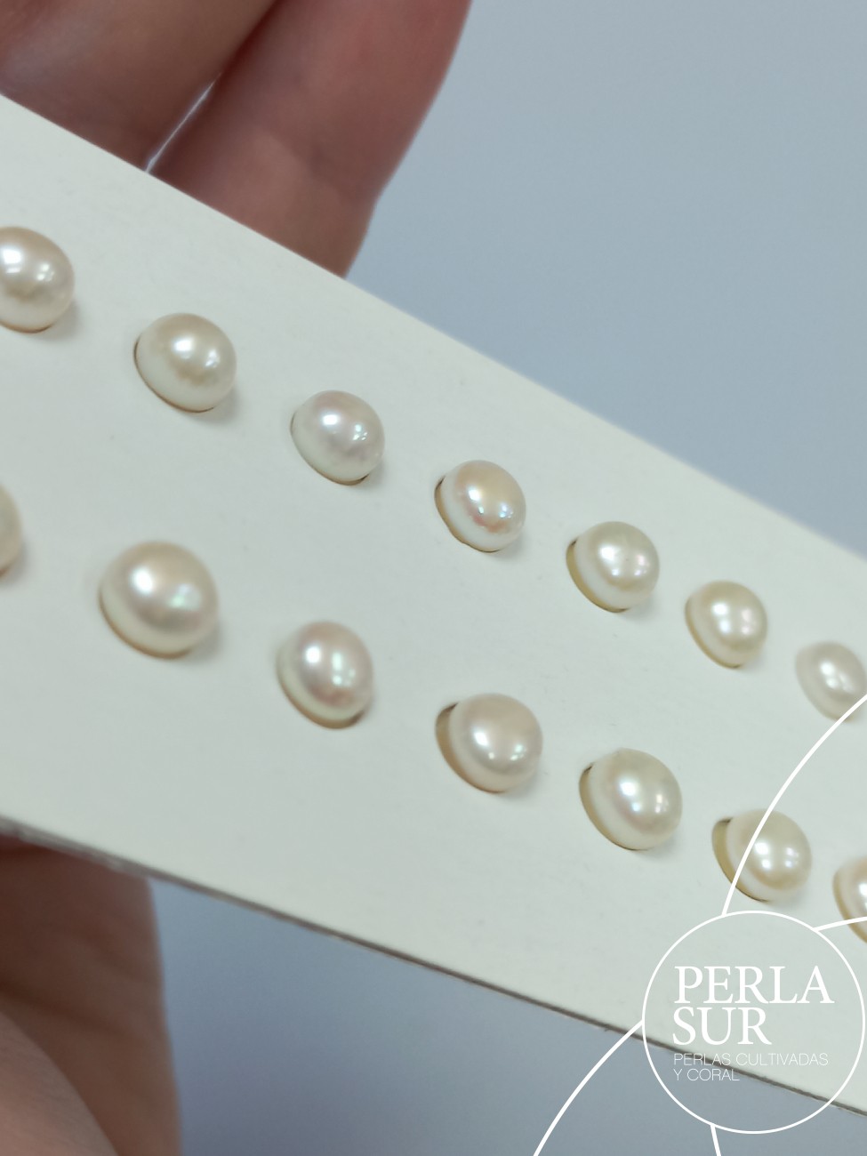 Pareja perla botón 1/2t 5-5'5mm blanca