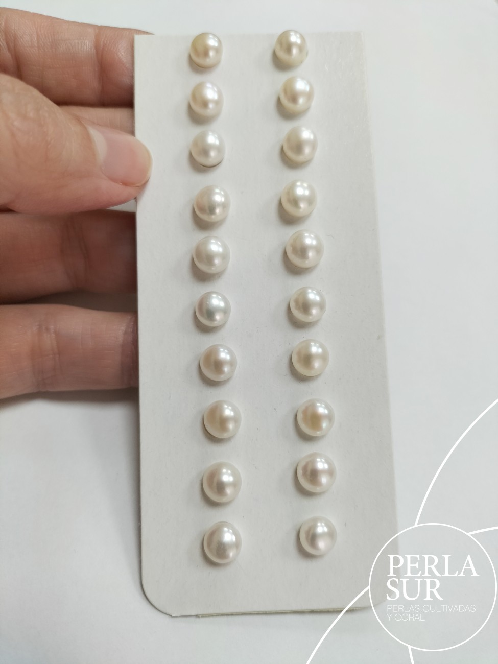 Pareja perla botón 1/2t 6-6'5mm blanca