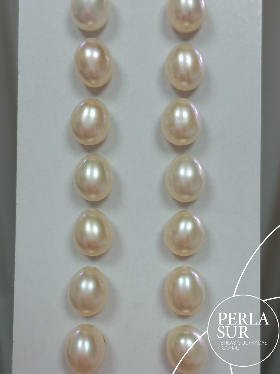 Pareja Perla Oval 6x8mm 1/2T. Blanca