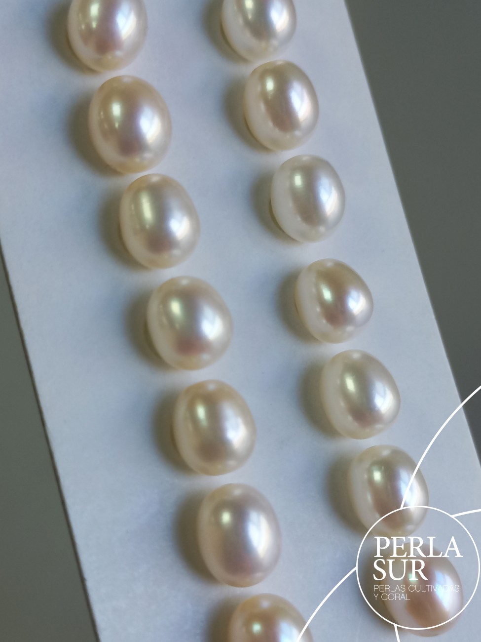 Pareja Perla Oval 7x8'5mm 1/2T. Blanca