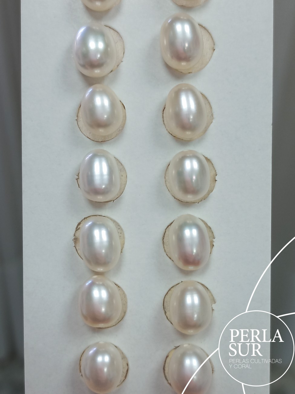 Pareja Perla Oval 7x9mm 1/2T. Blanca