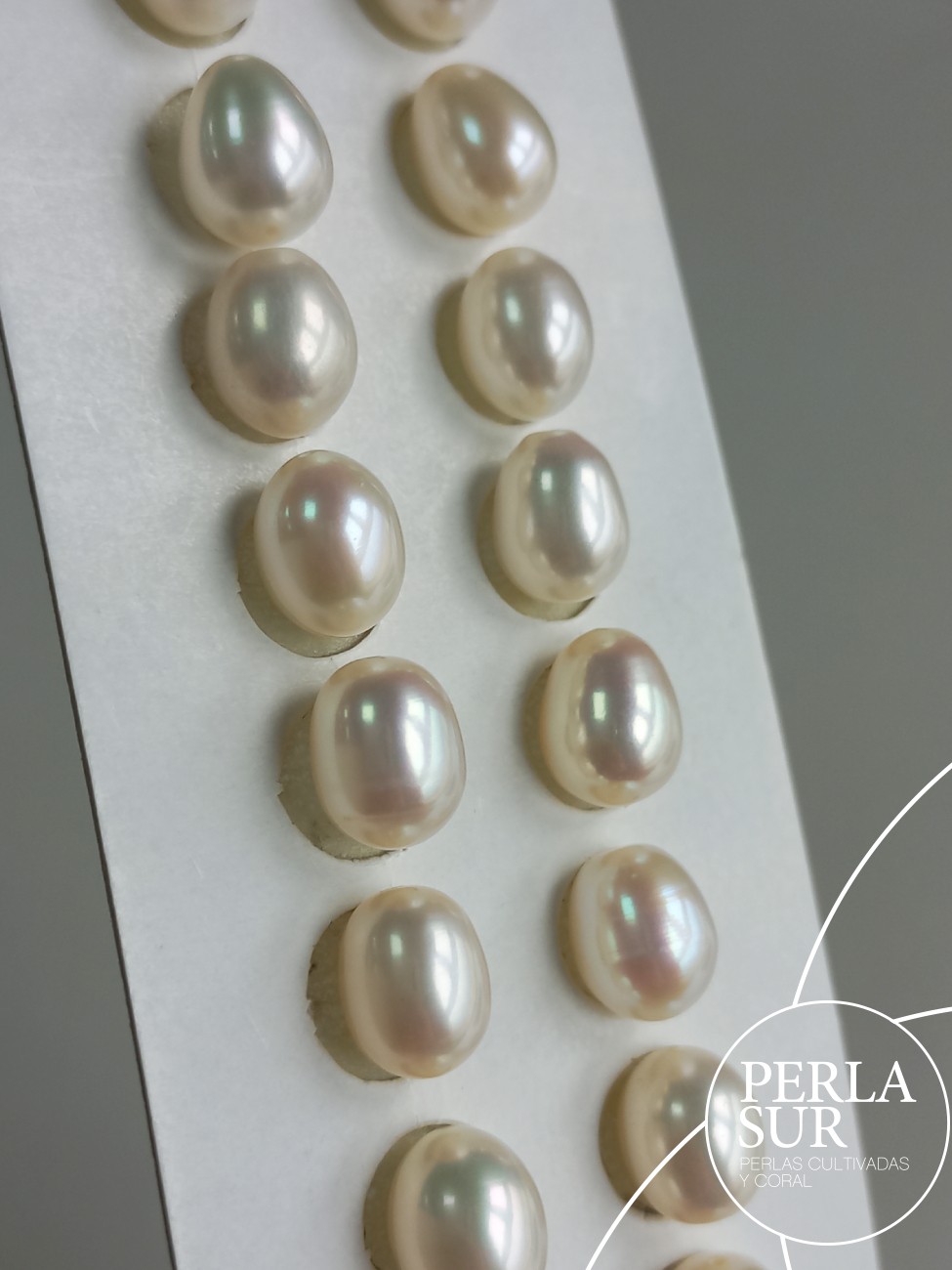 Pareja Perla Oval 7'5/8x9'5mm 1/2T. Blanca