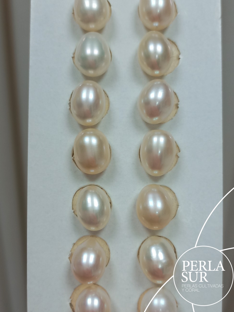 Pareja Perla Oval 7'5/8x10mm 1/2T. Blanca