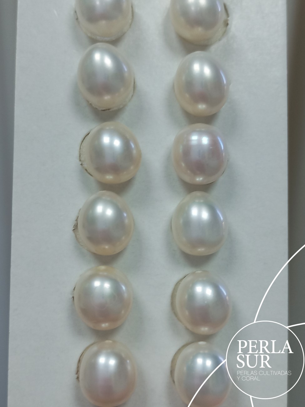 Pareja Perla Oval 8'5x9mm 1/2T. Blanca